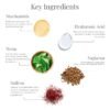 Forest Essentials Delicate Facial Cleanser with Kashmiri Saffron & Neem - Image 3