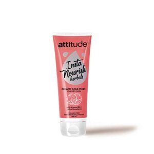 Amway Attitude Face Wash For Dry Skin - 100 Ml, Pack Of 1, Oil