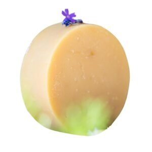 Arani Eco Coconut Milk Facewash Bar | For Dry, Sensitive Skin | Sulphate & Paraben-Free, Plastic-Free